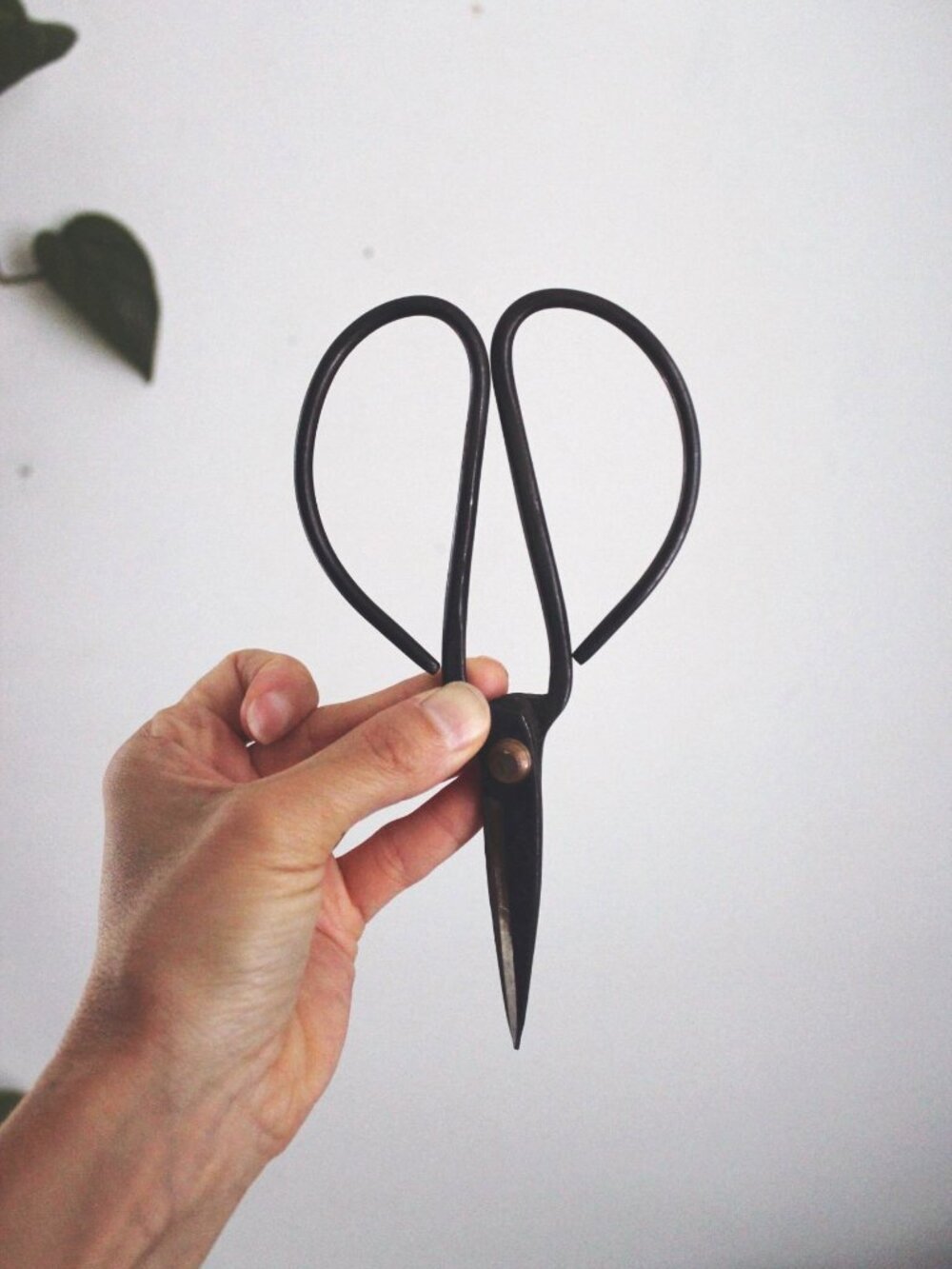 Vintage Traditional Forged Iron Bonsai Scissors Butterfly Shears Pruning Chinese